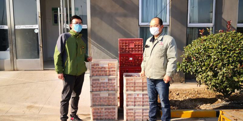 江蘇濱海雞蛋遇銷售難題：相關部門幫助對路適銷